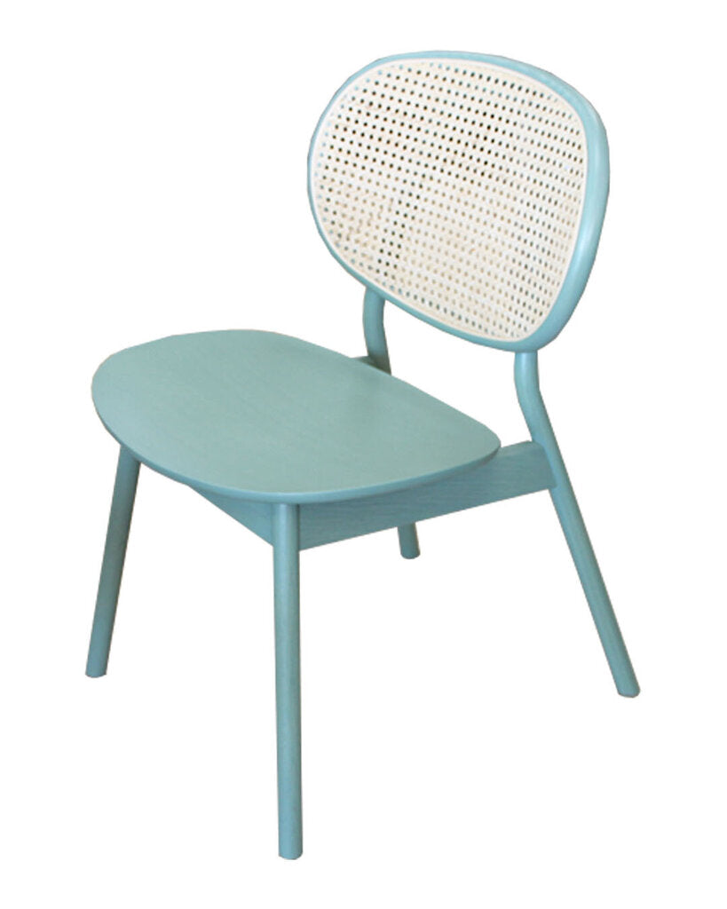 Widppsopt Armless Contemporary Rattan Dining Chairs, Blackish Green Matte Finish - Set of 8