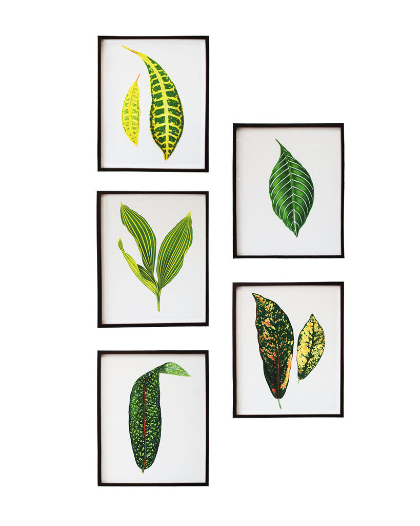 Green Leaf Botanical Prints Framed