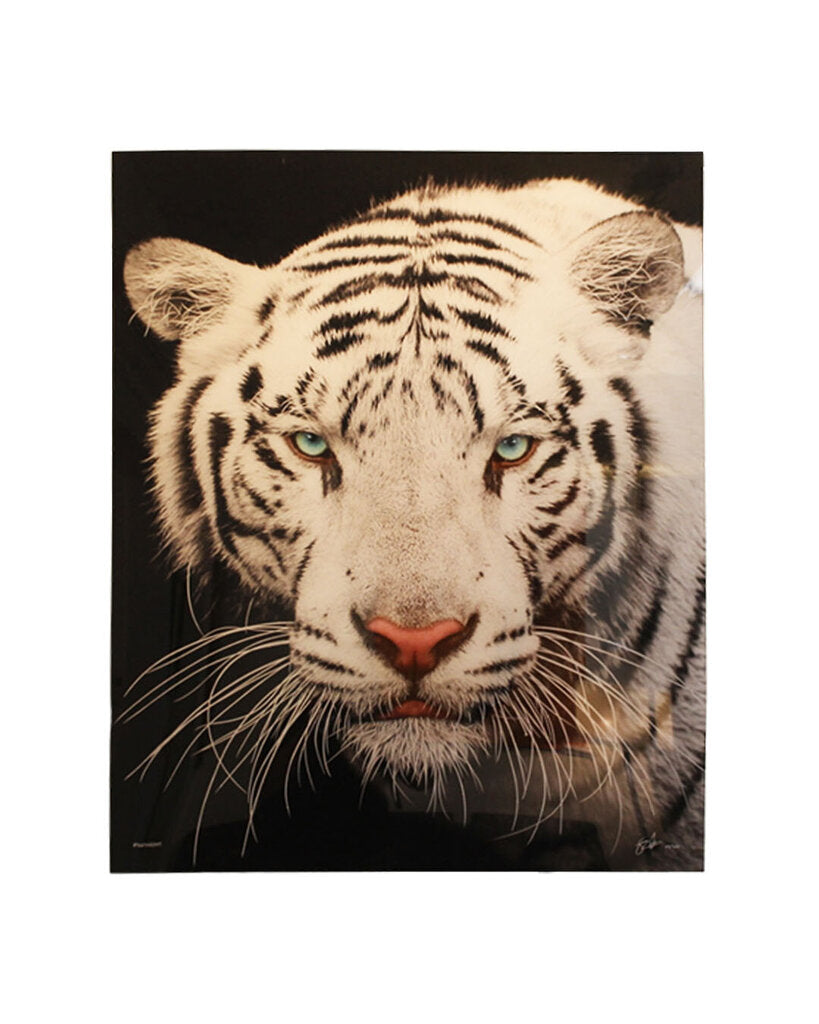 Signed Stan Lee, Limited Edition Black & White Bengal Tiger Photography Glass Wall Art
