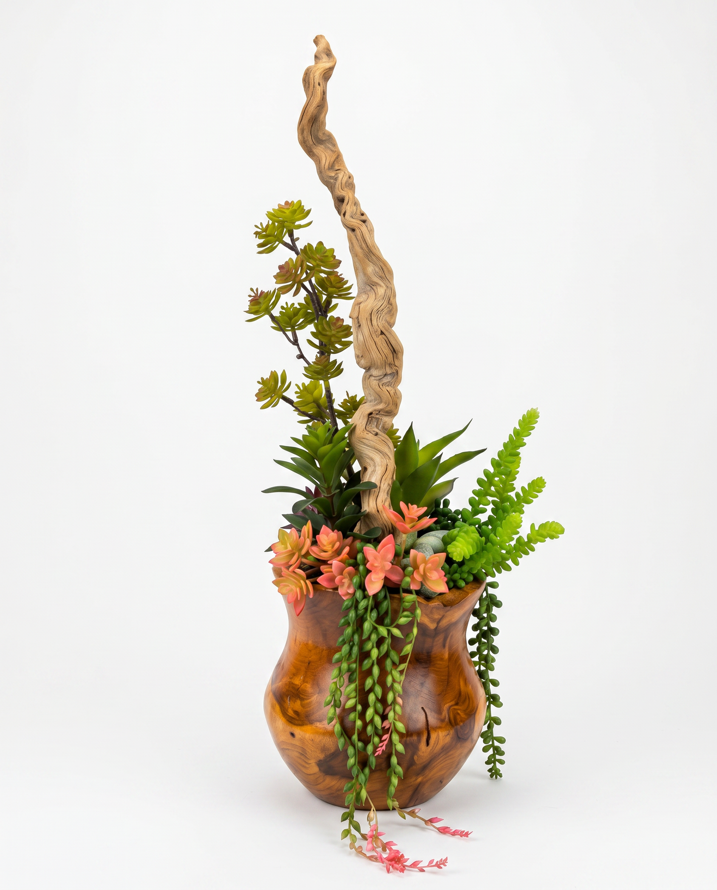 Succulents, Driftwood, Wood Bowl 28h