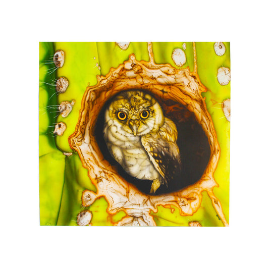 "Pygmy Owl in a Saguaro Cactus" Original Photorealistic Painting