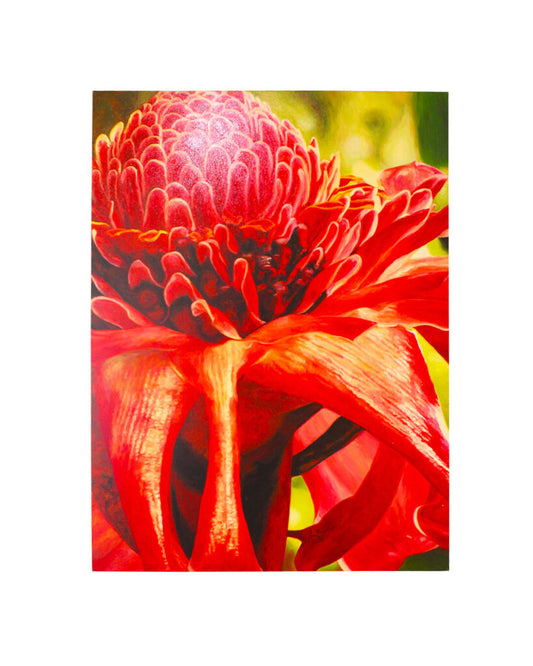 Signed Anita Baker Original Oil on Canvas "Red Torch Ginger"