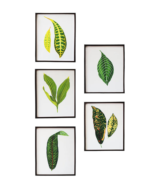 Green Leaf Botanical Prints Framed