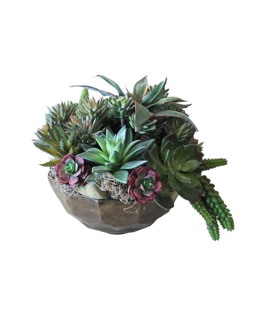 Dense Succulents in Bowl. Reg 13Dia 14H