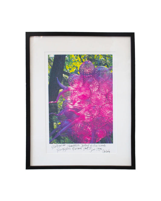 Signed Dale Chihuly Glass Art Exhibit Framed Photo Print 17W 24H