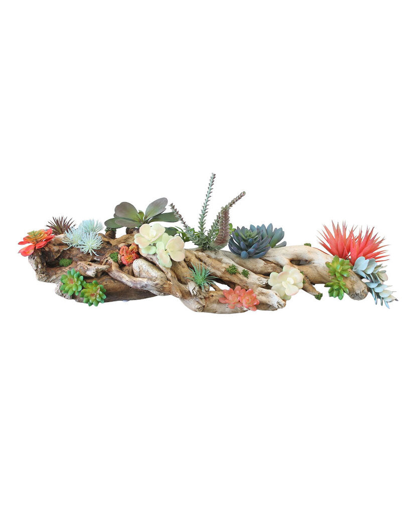 Ocean Driftwood w/Succulents 34W