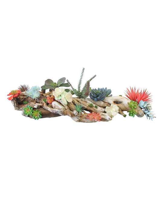 Ocean Driftwood w/Succulents 34W