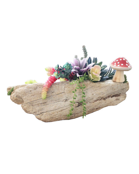 Driftwood w/Succulents & Red Mushroom 18 x 7.5 x 9H