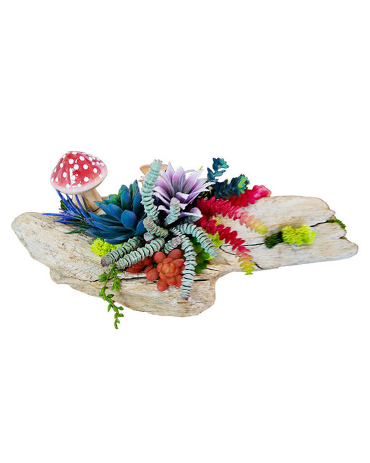 Driftwood w/Succulents & Red Mushroom 18 x 7.5 x 9H