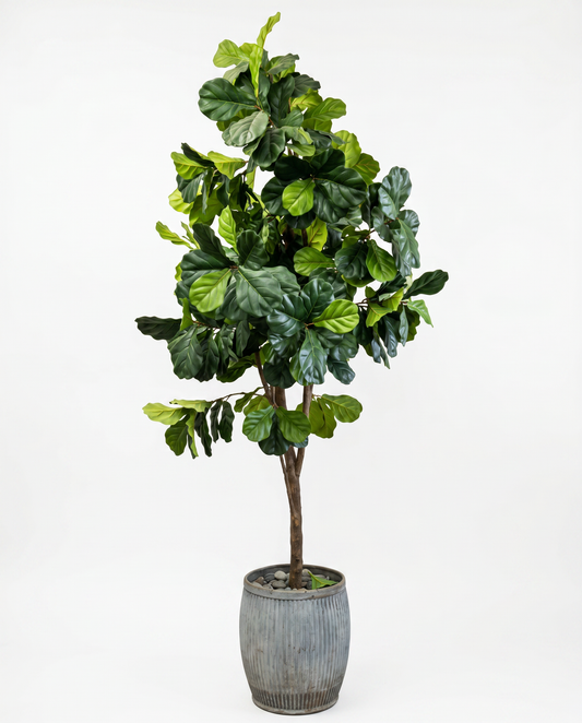 Artificial Fiddle Leaf Tree w/Galvanized Dolly Tub 8'7"H