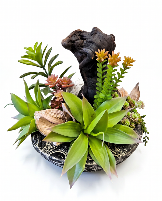 Black & White Wood Base w/Succulents & Dark Driftwood Floral Arrangement 12H