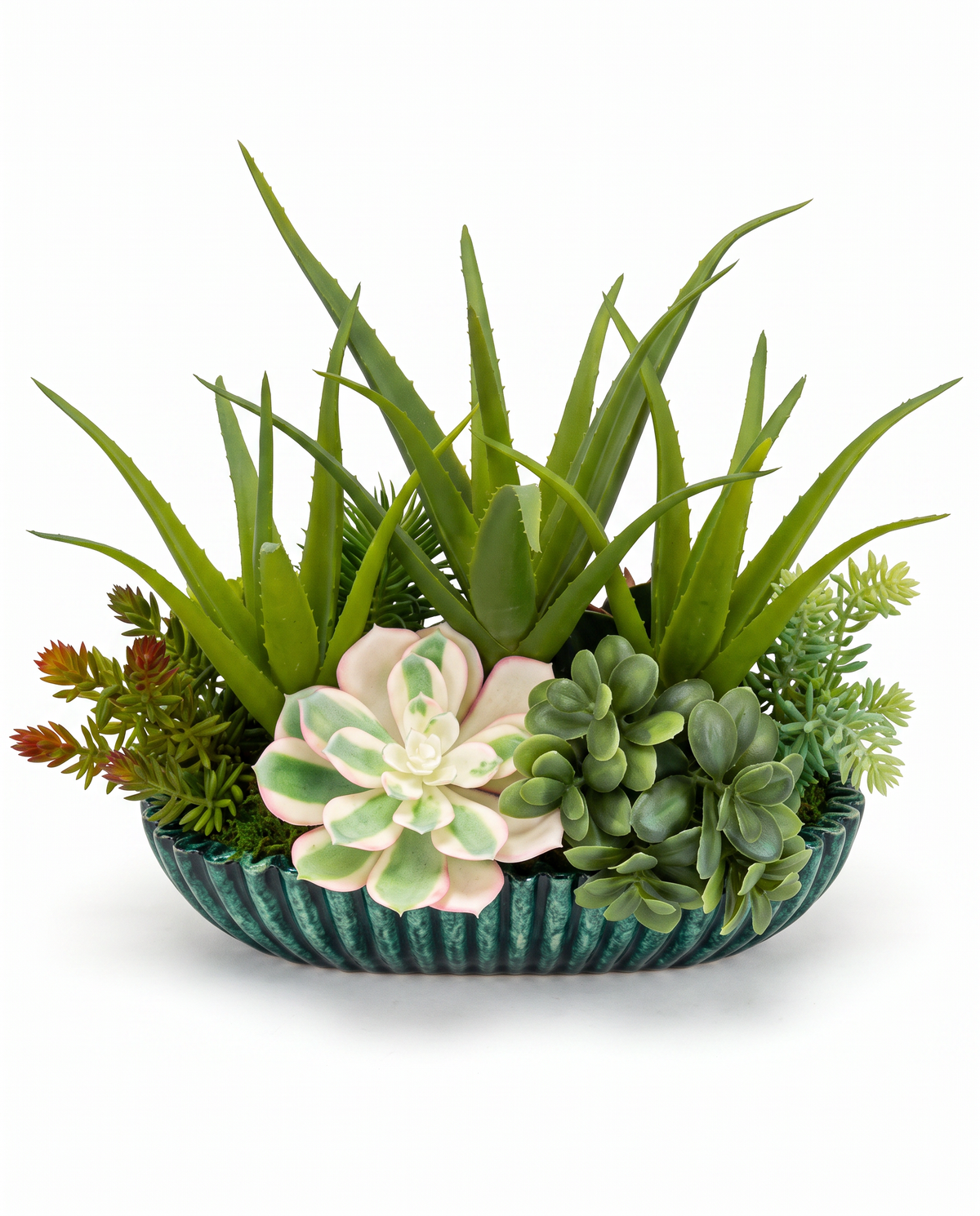 Green Ribbed Oval Bowl w/Succulents, Aloe Vera & Driftwood Arrangement 13.5L