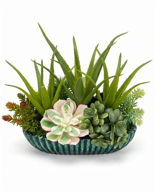 Green Ribbed Oval Bowl w/Succulents, Aloe Vera & Driftwood Arrangement 13.5L