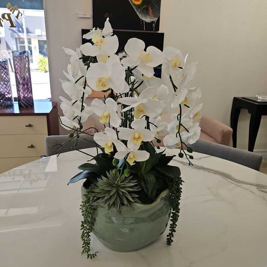 White Orchids, Succulent, Glazed Pottery 26H