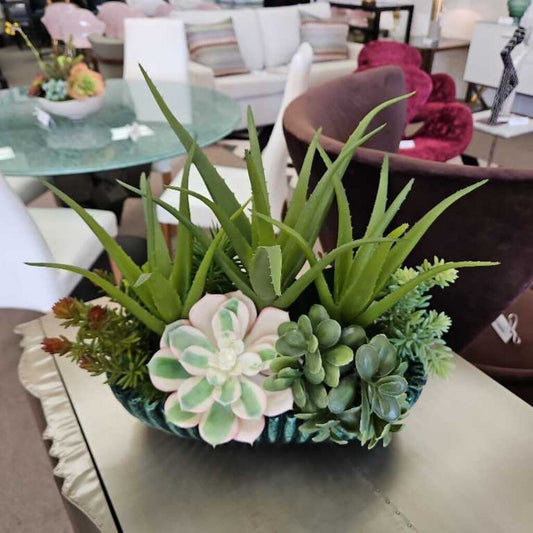 Green Ribbed Oval Bowl w/Succulents, Aloe Vera & Driftwood Arrangement 13.5L