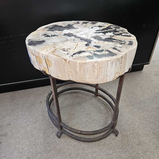 Polished Petrified Wood Top Table, Black Iron Base 20.5W 18.5D 22H