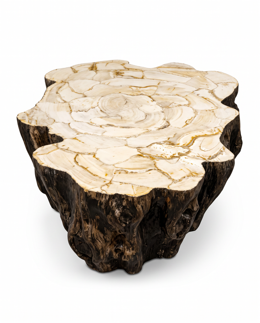 Palecek Chloe Fossilized Clam Shell Coffee Table, Stonecast Base of Natural Tree Trunk Mold 43.5 x 30.5 x 17.5
