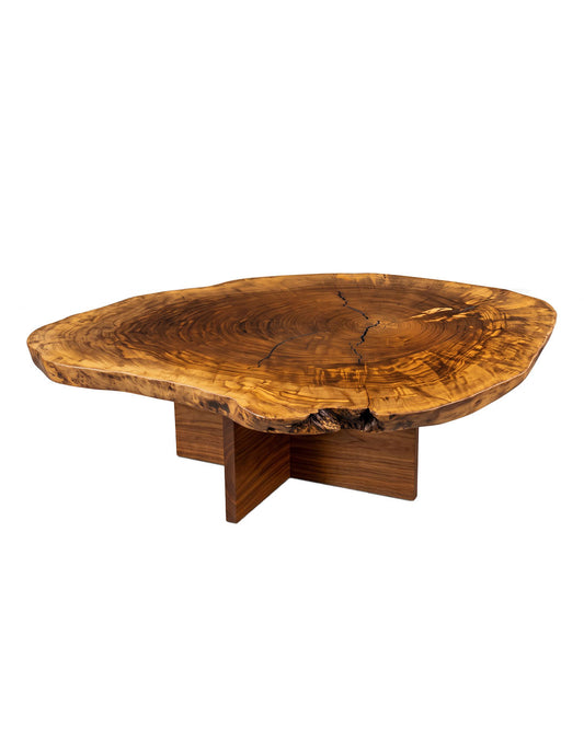 Pequi Slice Coffee Table, Solid Slab of Brazilian Pequi Wood 53.5W 35D 14.25H