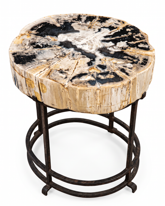 Polished Petrified Wood Top Table, Black Iron Base 20.5W 18.5D 22H