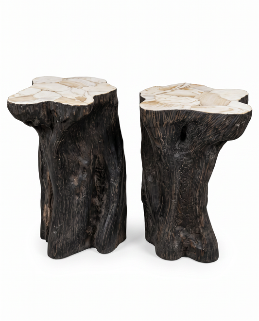 Sculptural Hand-Crvd Fossilized Clay Shell, Charred Wood Side Tables, Twisted Pedestal Design (PAIR)