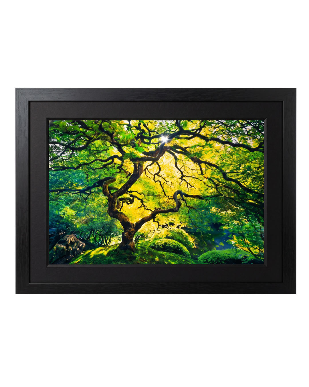 Signed Peter Lik "Inner Peace" Limited Edition 943/950 75.25W 55.5H