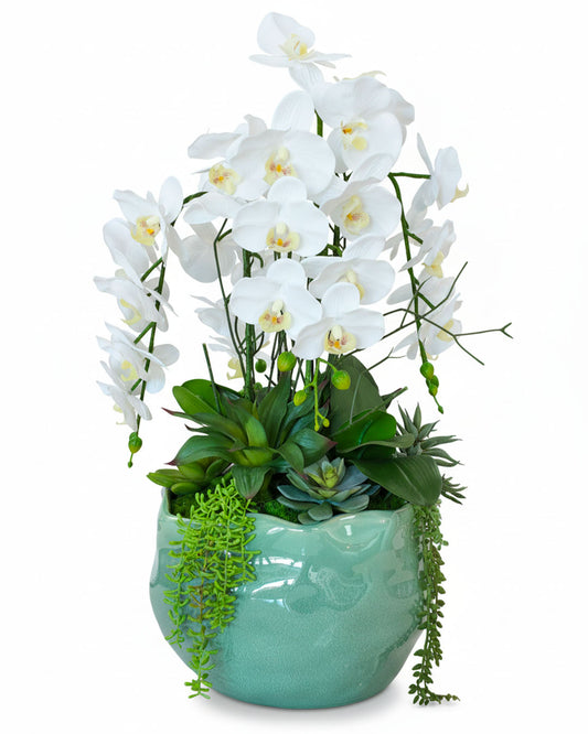 White Orchids, Succulent, Glazed Pottery 26H